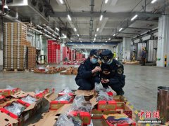 广州南沙口岸迎来智利车厘子进口高峰